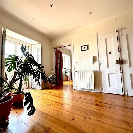 Rent Duplex Lux Apartamento