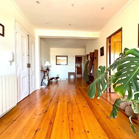 Rent Duplex Lux Daire Lisboa